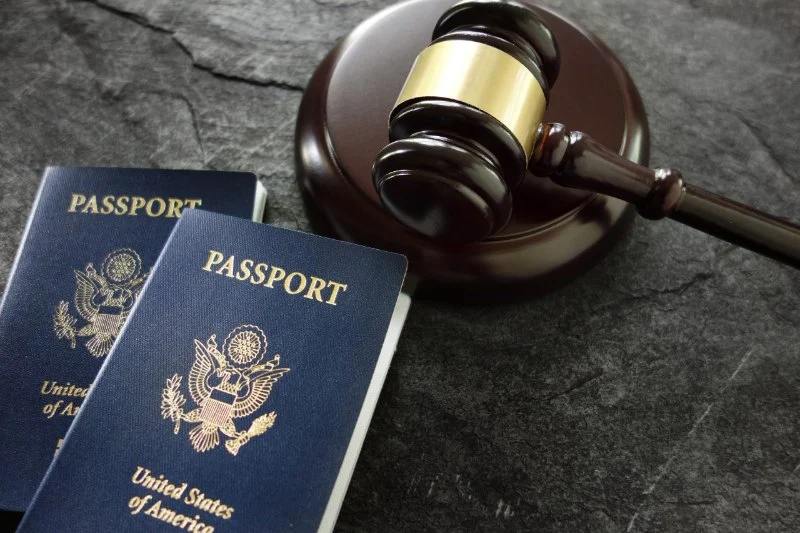 Law Made Simple: The Basics of Immigration Law for Newcomers