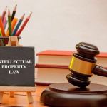 The Basics of Intellectual Property Rights