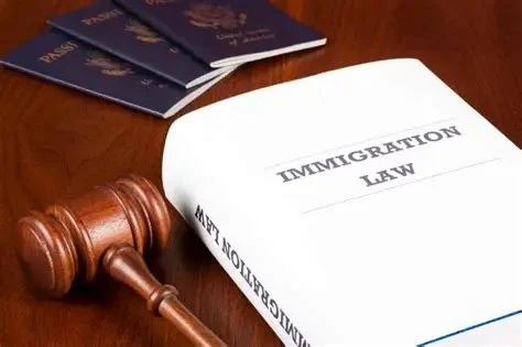 The Basics of Immigration Law for Newcomers