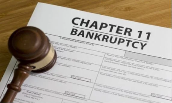 Understanding Bankruptcy Options