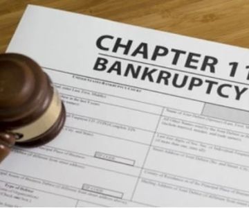 Understanding Bankruptcy Options