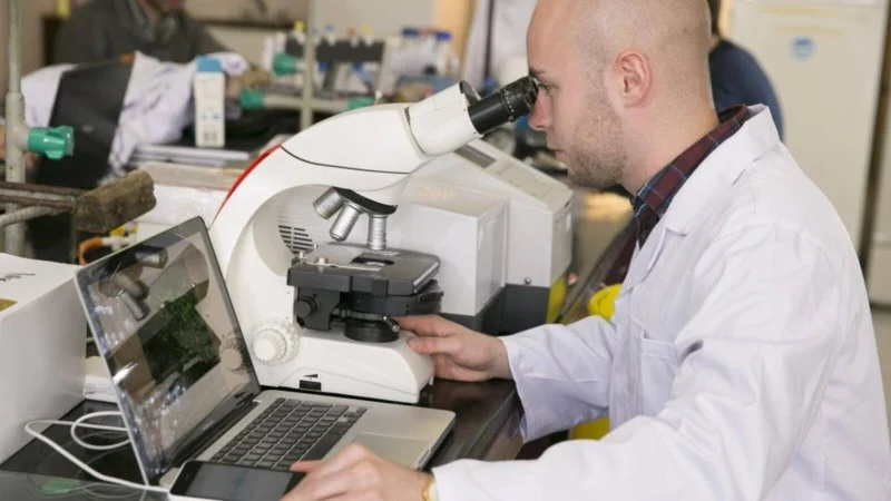 What You Need to Know Legally About Synthetic Biology Startups and U.S. Regulation