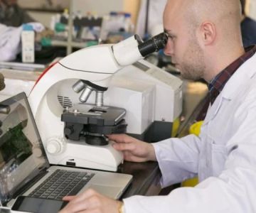 What You Need to Know Legally About Synthetic Biology Startups and U.S. Regulation