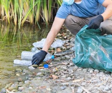 How to Legally Handle an Environmental Cleanup Order for Your Business: A Comprehensive Guide