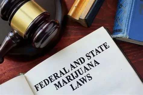 What to Know Legally About States Changing Marijuana Legalization Laws | CGS Law Hub