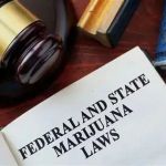 What to Know Legally About States Changing Marijuana Legalization Laws | CGS Law Hub