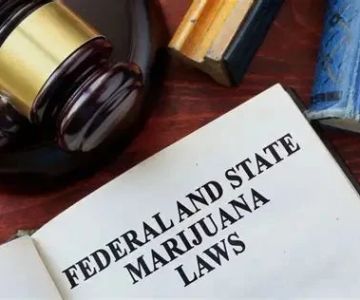 What to Know Legally About States Changing Marijuana Legalization Laws | CGS Law Hub